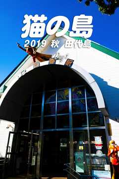 猫の島 2019秋 田代島 Day1