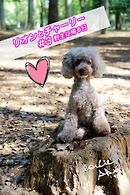 リオンとチャーリー #3野生に帰る日