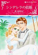 シンデレラの結婚【分冊】 9巻