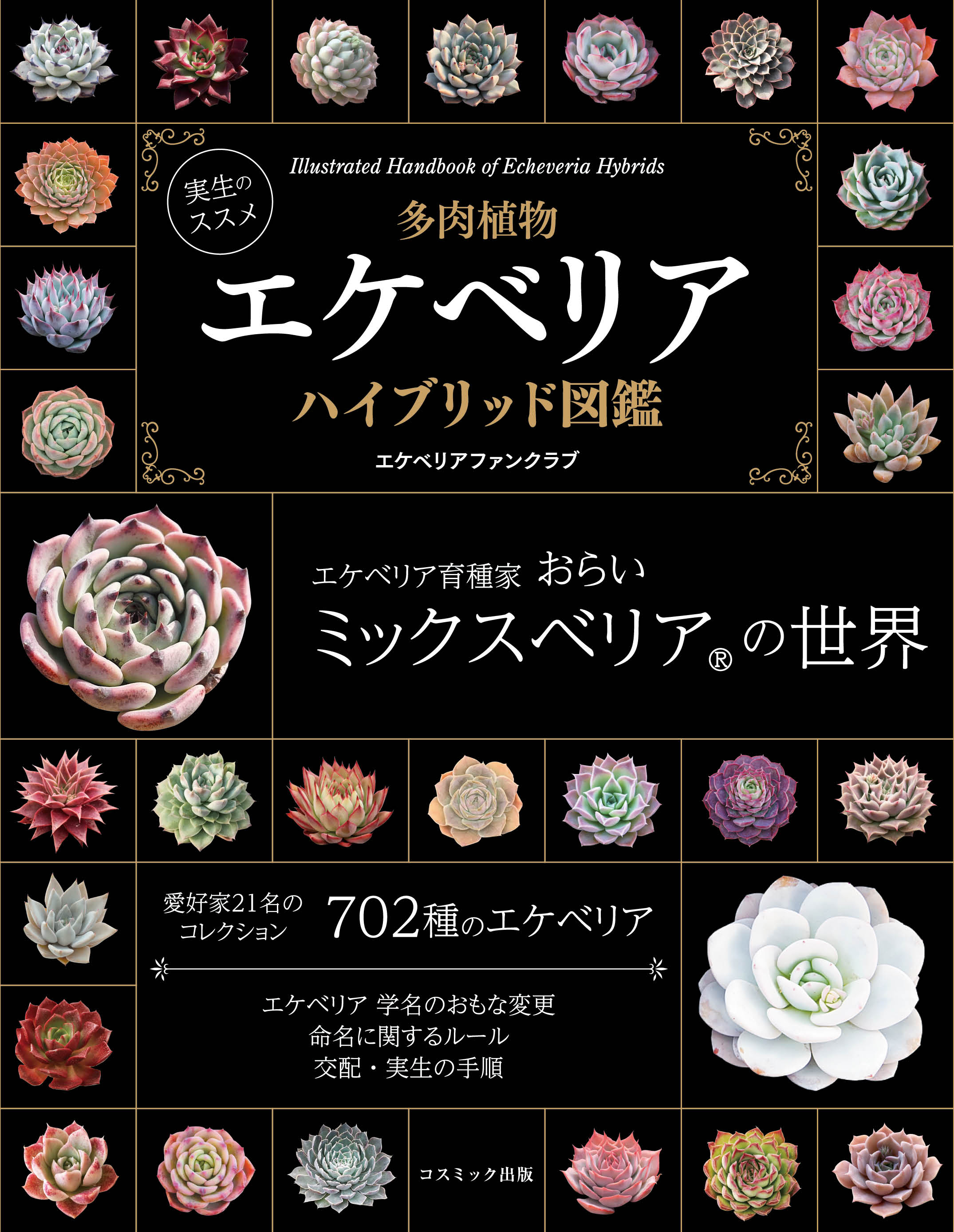 実生のススメ 多肉植物 エケベリアハイブリッド図鑑 エケベリアファンクラブ 漫画 無料試し読みなら 電子書籍ストア ブックライブ