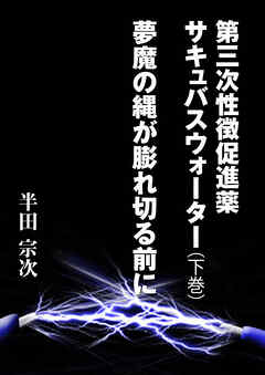 第三次性徴促進薬　サキュバスウォーター（下巻）　夢魔の縄が膨れ切る前に