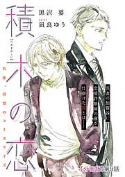 積木の恋【分冊版】第９話