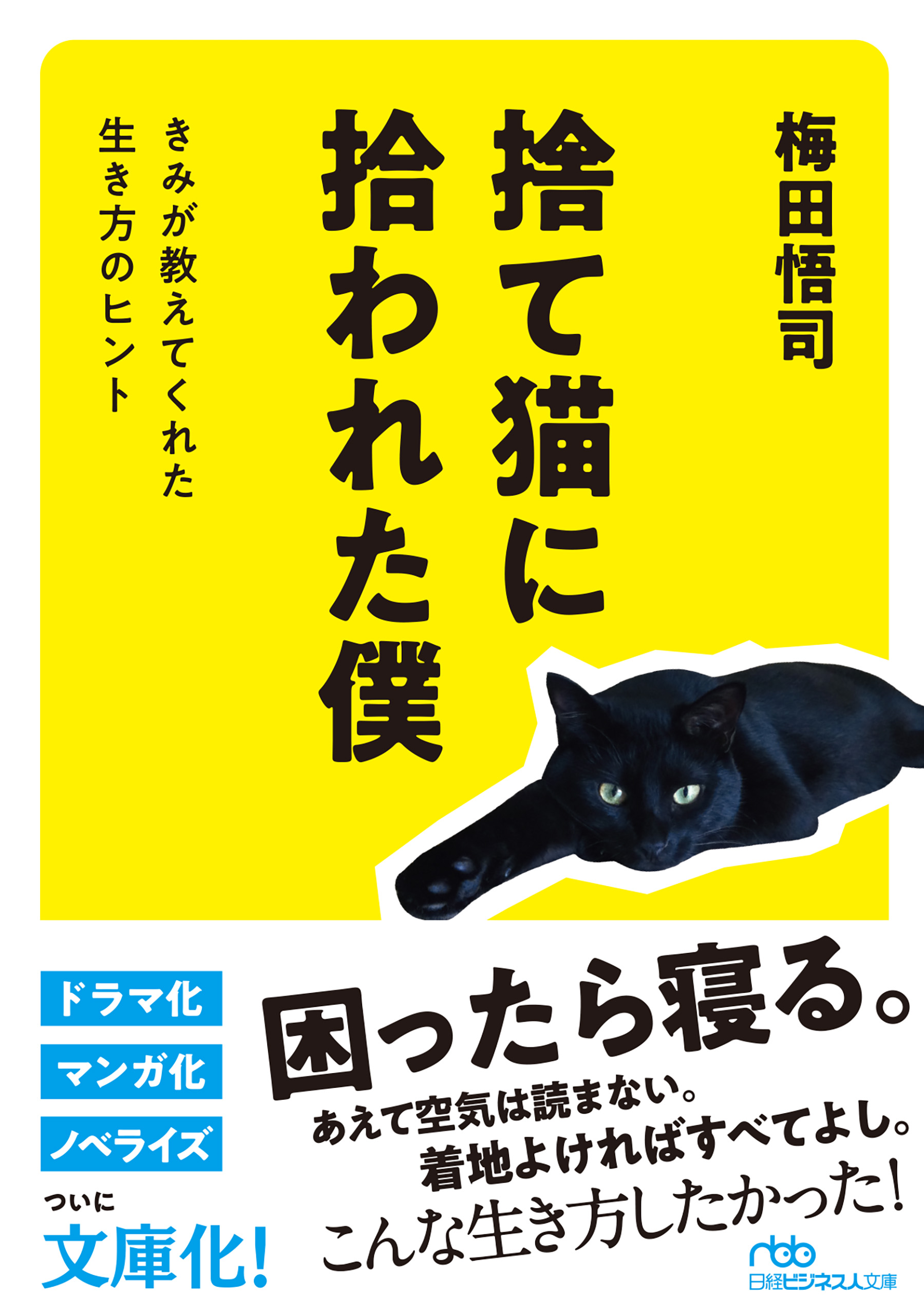 ネコはここまで考えている 他全5冊 猫本 ノンフィクション