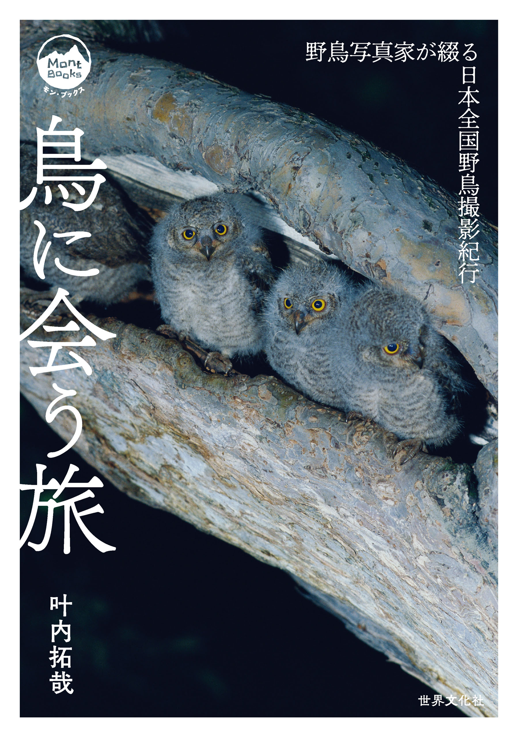 鳥に会う旅　漫画・無料試し読みなら、電子書籍ストア　野鳥写真家が綴る日本全国野鳥撮影紀行　叶内拓哉　ブックライブ