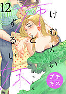 けむたい姉とずるい妹　プチキス（１２）