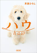 ハウ
