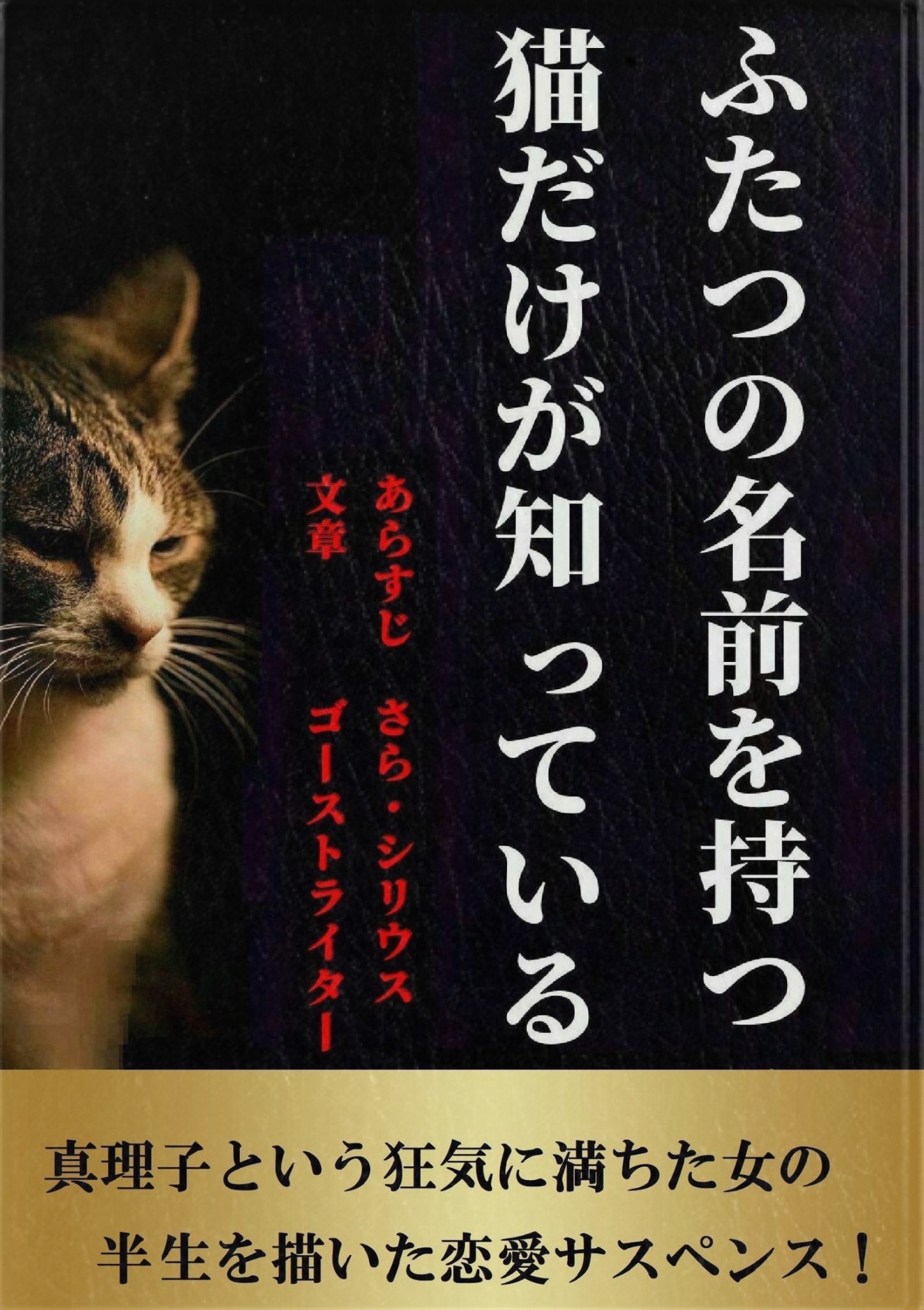 ふたつの名前を持つ猫だけが知っている | ブックライブ