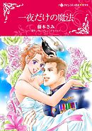 一夜だけの魔法【分冊】 4巻