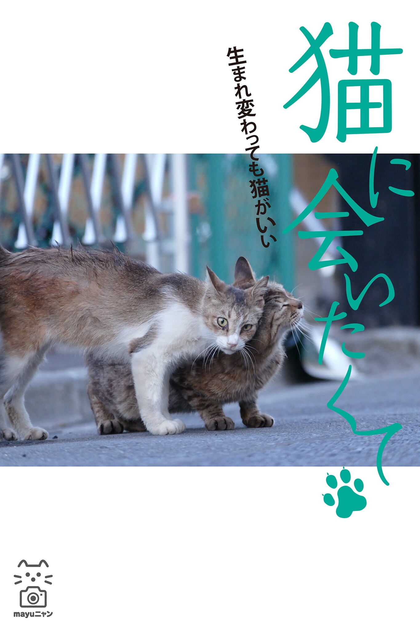 猫に会いたくて 生まれ変わっても猫がいい Mayuニャン 漫画 無料試し読みなら 電子書籍ストア ブックライブ