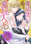 魔法使いの愛玩人形　異世界に落ちたOLは愛と魔力を注がれる 17