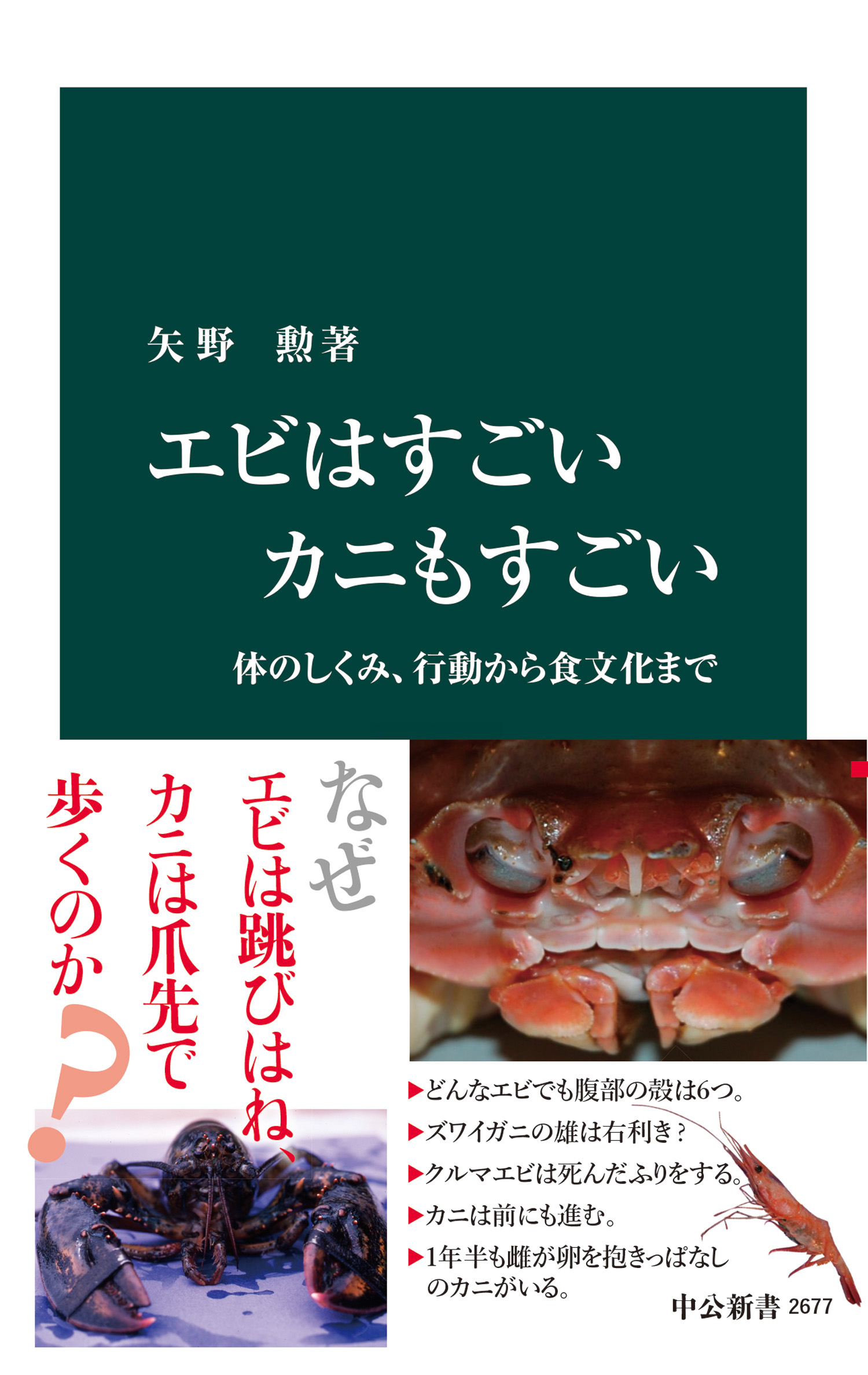 エビはすごい カニもすごい 体のしくみ、行動から食文化まで - 矢野