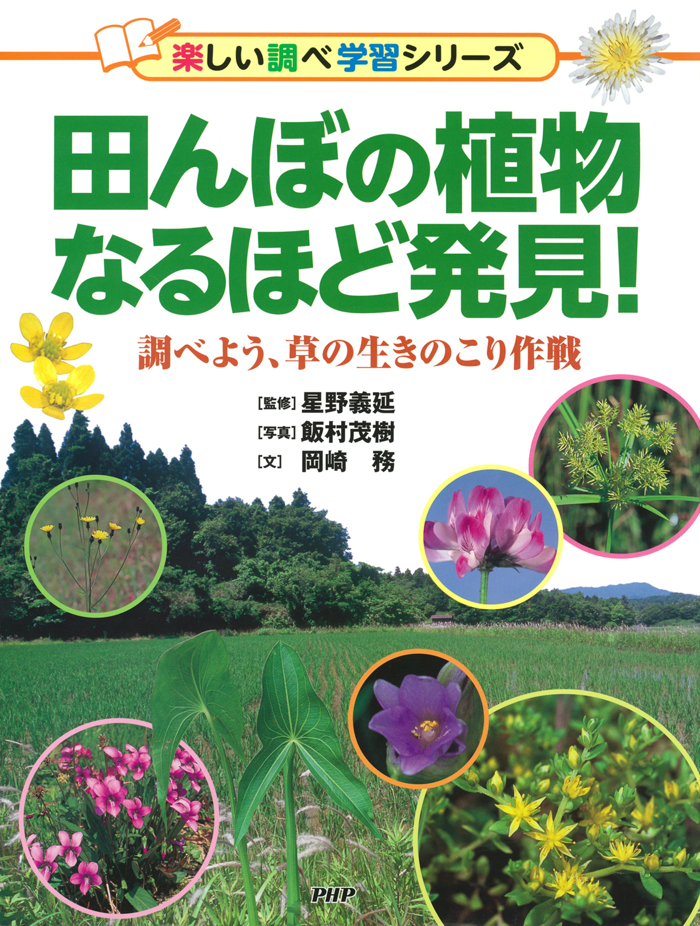 危なそうに見える草