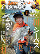 ルアーマガジンソルト2016年11月号