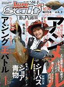ルアーマガジンソルト2017年1月号