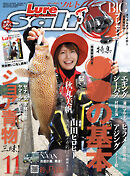 ルアーマガジンソルト2018年11月号