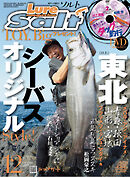 ルアーマガジンソルト2019年12月号