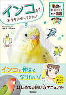 はじめてのインコ 飼い方・育て方 - 海老沢和荘/柴田祐未子 - ビジネス・実用書・無料試し読みなら、電子書籍・コミックストア ブックライブ