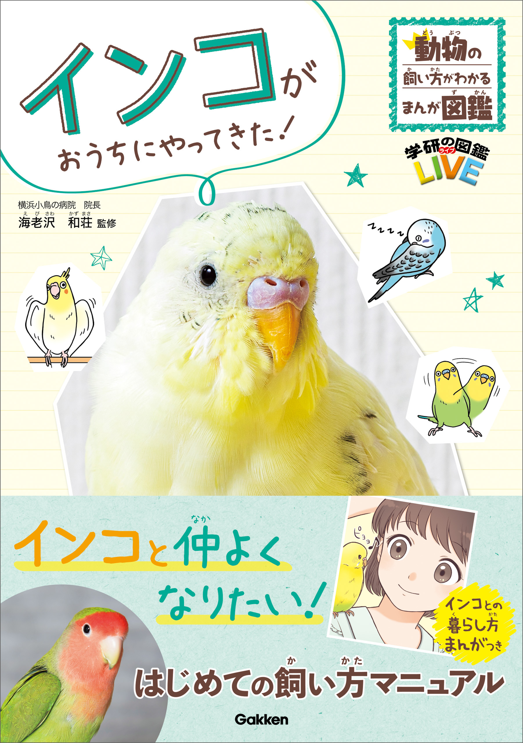 インコがおうちにやってきた！ - 海老沢和荘 - 少年マンガ・無料試し読みなら、電子書籍・コミックストア ブックライブ