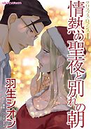 情熱の聖夜と別れの朝〈クリスマス・ロマンスⅠ〉【分冊】 9巻