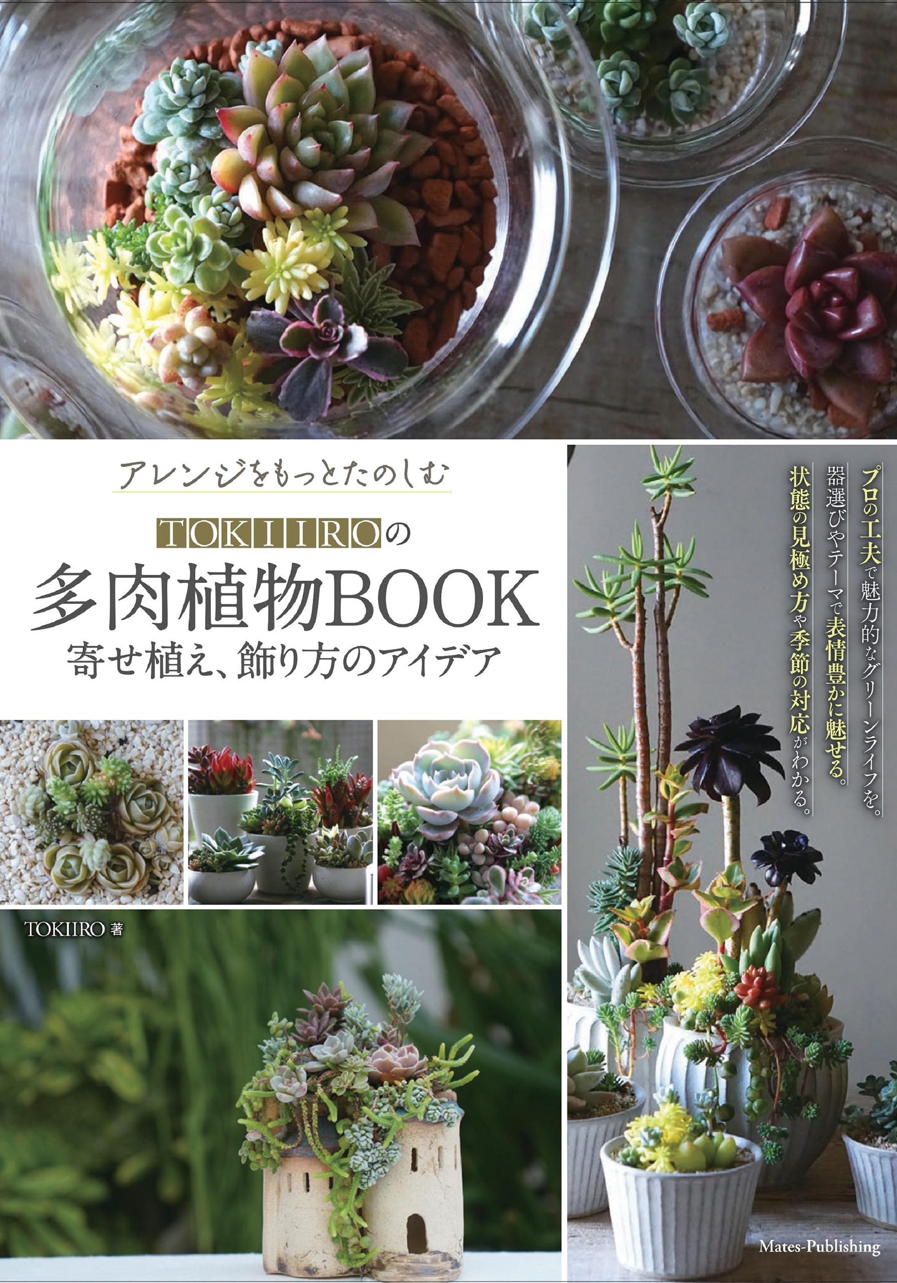 アレンジをもっとたのしむ TOKIIROの多肉植物BOOK 寄せ植え、飾り方のアイデア | ブックライブ