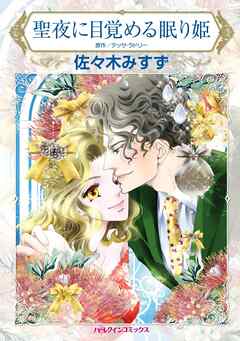 聖夜に目覚める眠り姫【分冊】 8巻