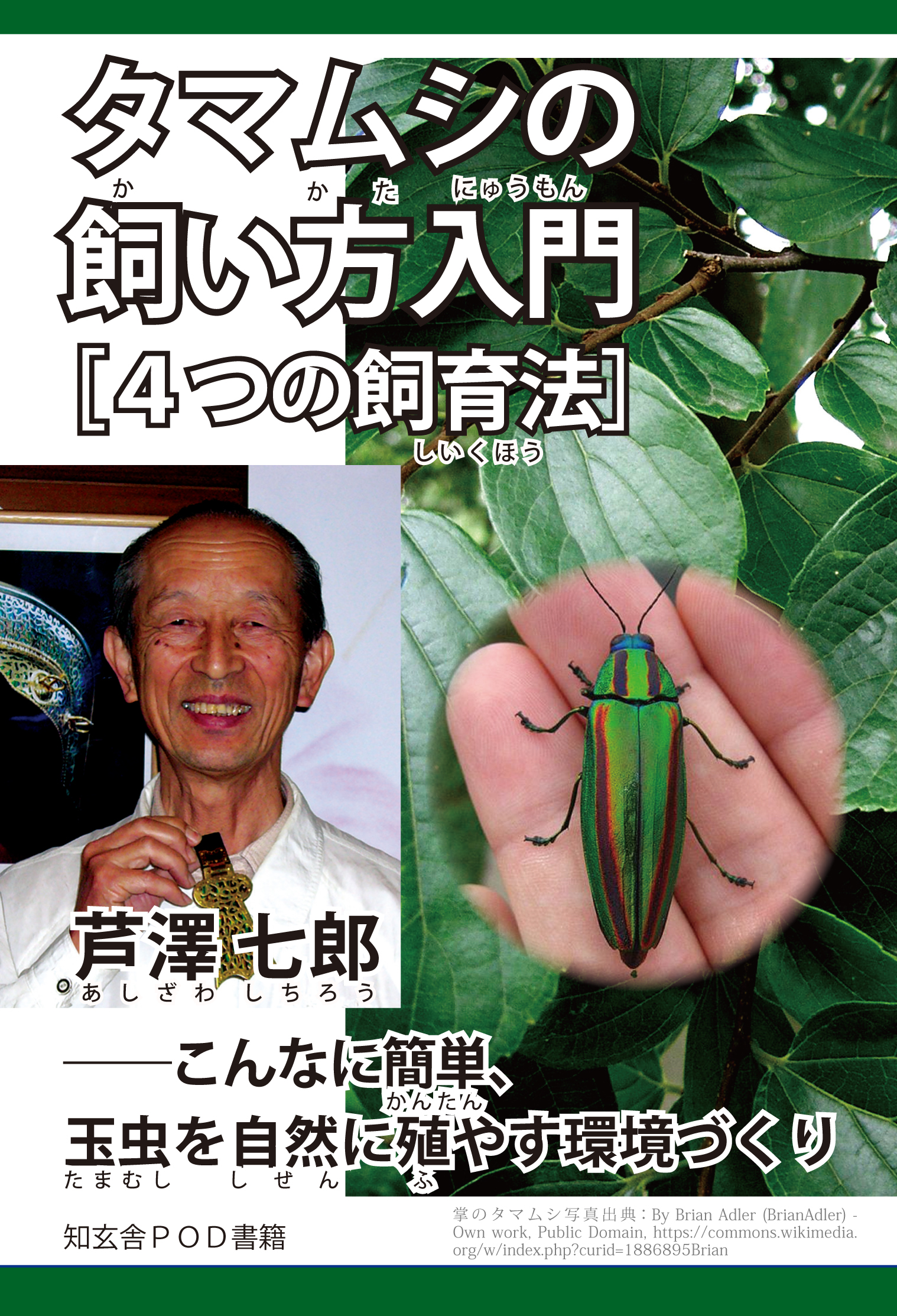 タマムシの飼い方入門［４つの飼育法］――こんなに簡単、玉虫を自然に殖やす環境づくり - 芦澤七郎 -  ビジネス・実用書・無料試し読みなら、電子書籍・コミックストア ブックライブ