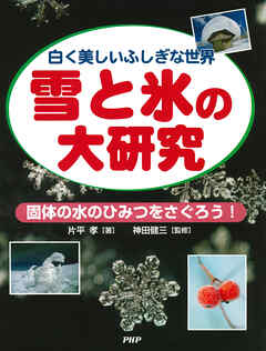 白く美しいふしぎな世界 雪と氷の大研究 固体の水のひみつをさぐろう！