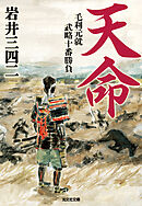 天命～毛利元就武略十番勝負～