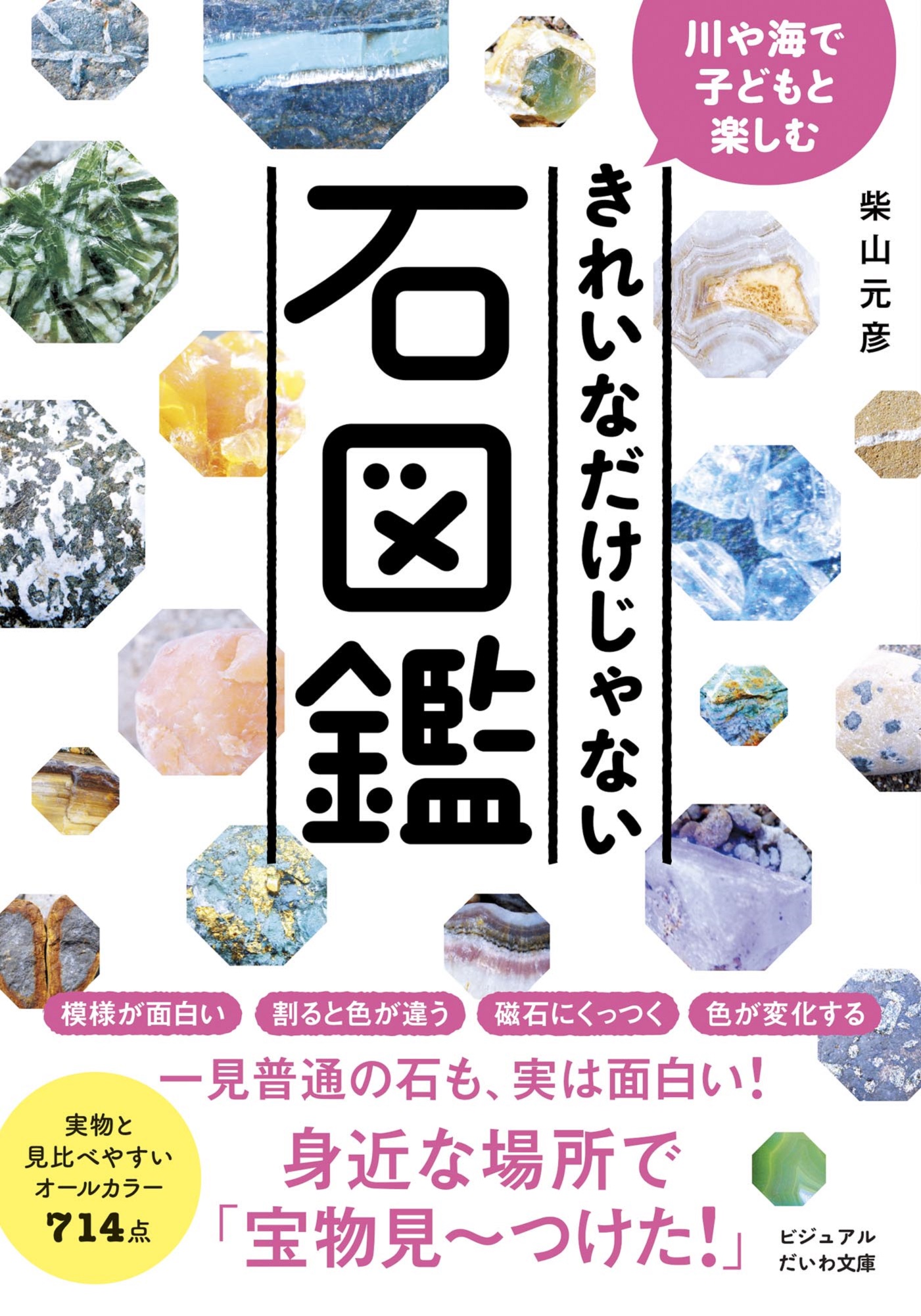 川や海で子どもと楽しむ きれいなだけじゃない石図鑑 柴山元彦 漫画 無料試し読みなら 電子書籍ストア ブックライブ