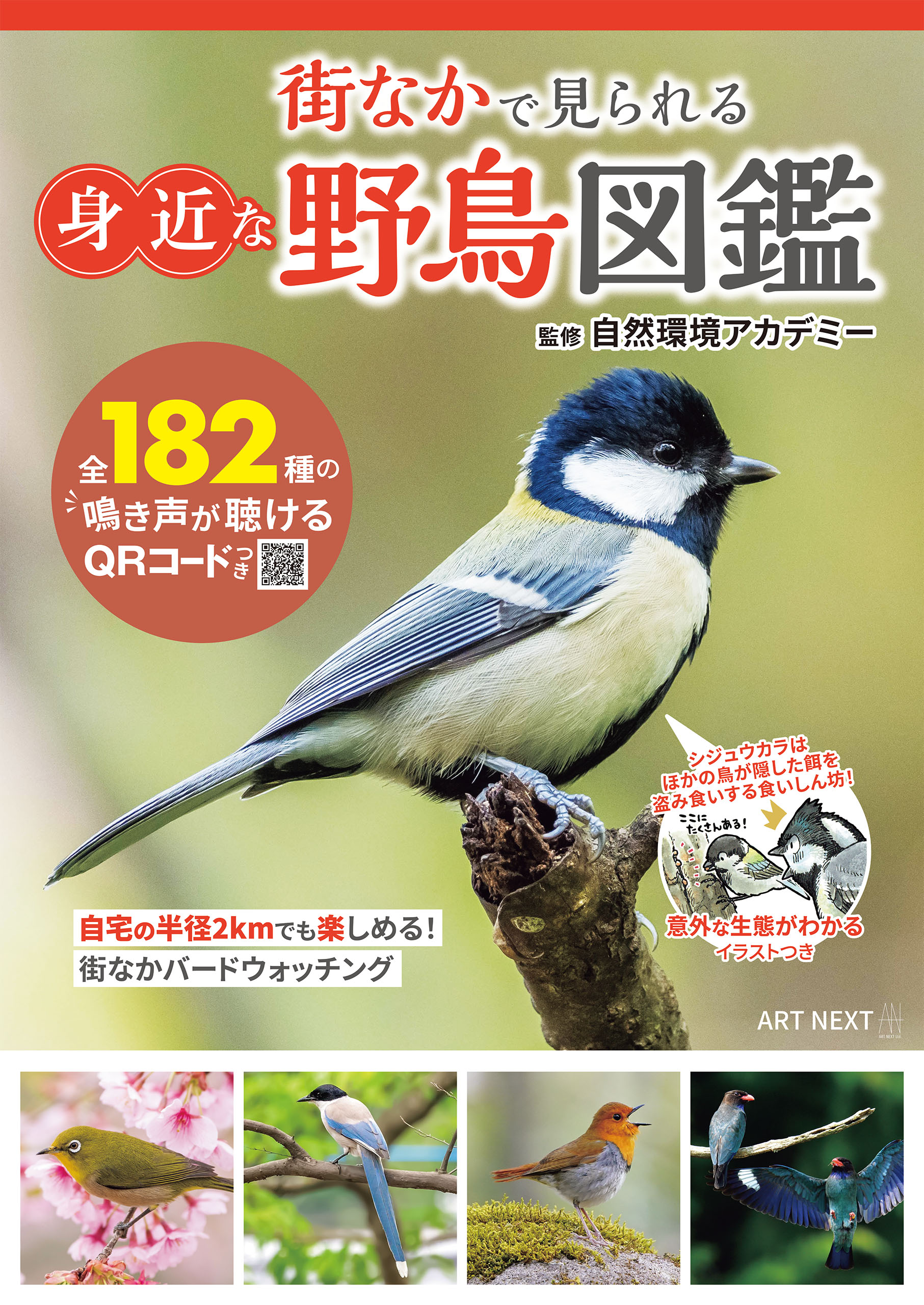 日本の野鳥 写真検索 - ノンフィクション・教養
