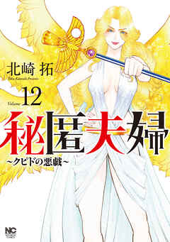 秘匿夫婦～クピドの悪戯～ 12