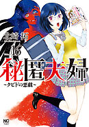 秘匿夫婦～クピドの悪戯～ 16