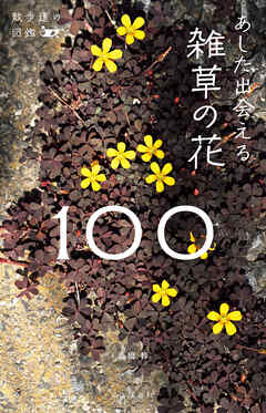 散歩道の図鑑 あした出会える雑草の花100 - 髙橋修 - ビジネス・実用書・無料試し読みなら、電子書籍・コミックストア ブックライブ