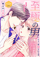 至極の男～もう一度愛される夜［ｃｏｍｉｃ　ｔｉｎｔ］　分冊版（１５）