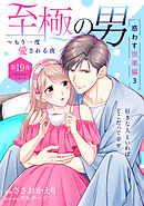 至極の男～もう一度愛される夜［ｃｏｍｉｃ　ｔｉｎｔ］　分冊版（１９）