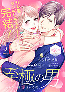 至極の男～もう一度愛される夜［ｃｏｍｉｃ　ｔｉｎｔ］　分冊版（２６）