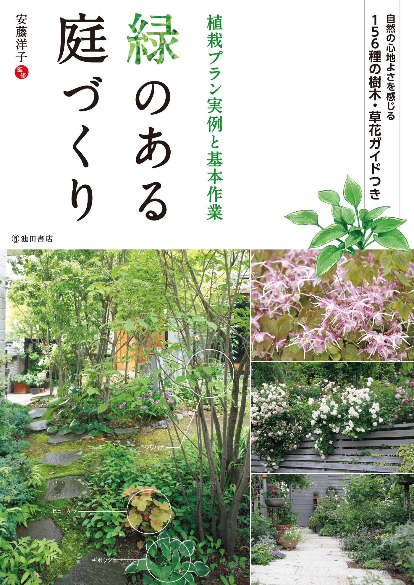 緑のある庭づくり 植栽プラン実例と基本作業 池田書店 安藤洋子 漫画 無料試し読みなら 電子書籍ストア ブックライブ