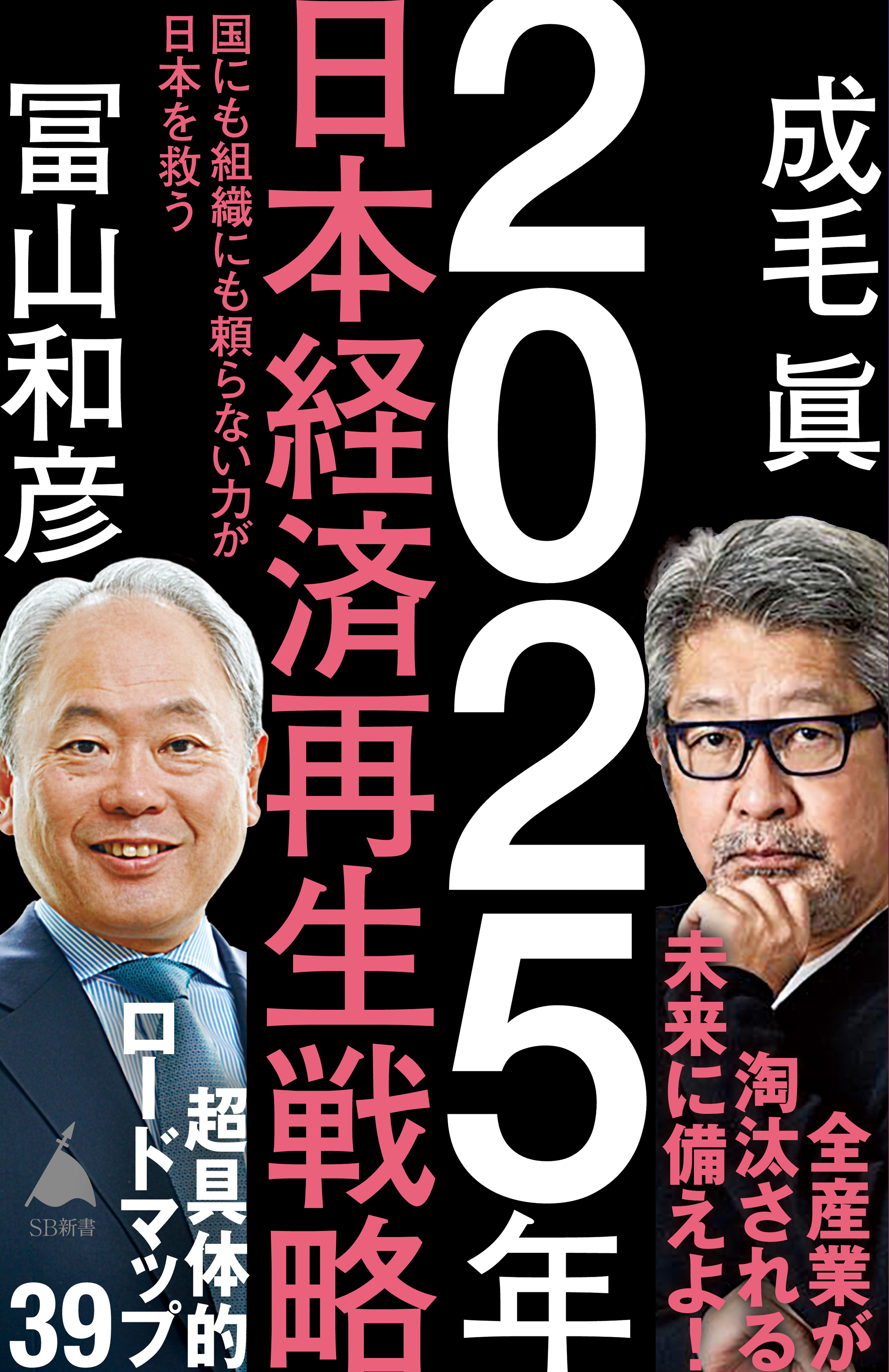 2025年日本経済再生戦略 国にも組織にも頼らない力が日本を救う - 成毛