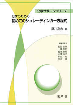 化学のための 初めてのシュレーディンガー方程式 - 藤川高志 - 漫画