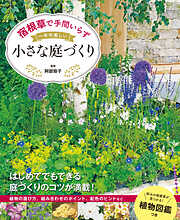 決定版 一年中楽しめるコンテナ野菜づくり 85種 - 金田初代 - 漫画