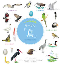 イラスト図鑑　リーブル「鳥」