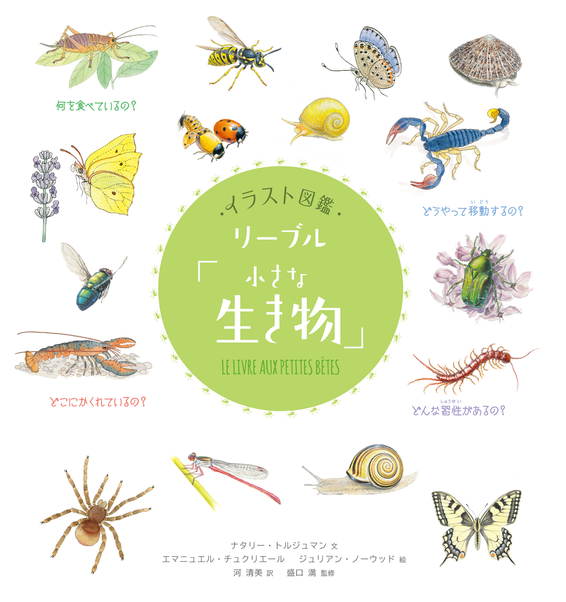 イラスト図鑑 リーブル 小さな生き物 Tordjman Nathalie Tchoukriel Emmanuelle 漫画 無料試し読みなら 電子書籍ストア ブックライブ