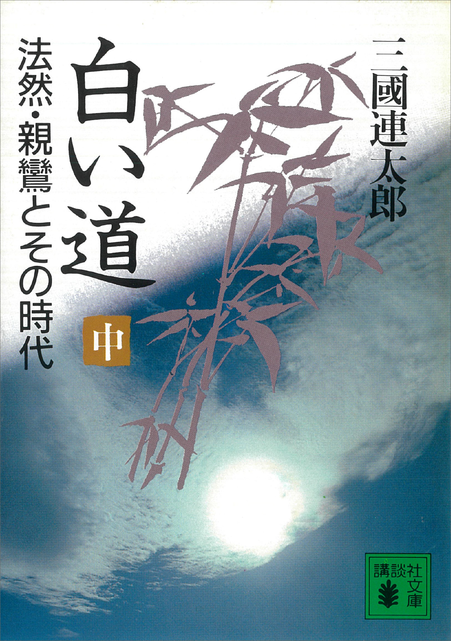 白い道 法然・親鸞とその時代（中） - 三國連太郎 - 小説・無料試し読みなら、電子書籍・コミックストア ブックライブ