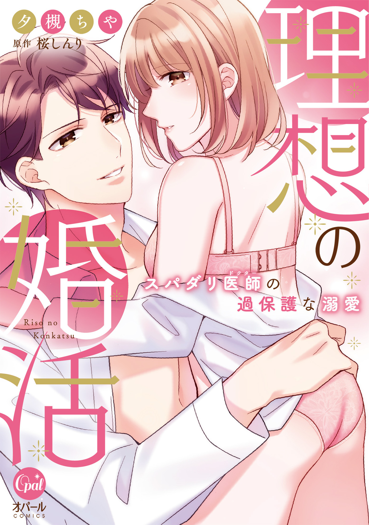 理想の婚活　スパダリ医師の過保護な溺愛【単行本版】【電子限定ペーパー付】