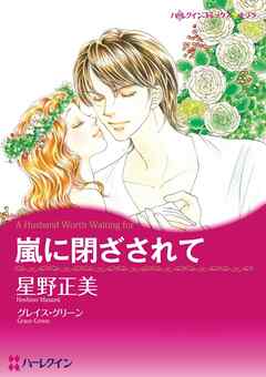 嵐に閉ざされて【分冊】 11巻