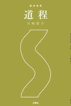 整体覚書　道程 - 川﨑智子 - ビジネス・実用書・無料試し読みなら、電子書籍・コミックストア ブックライブ