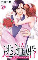 逃避婚～ふたりは恋愛欠乏症 29