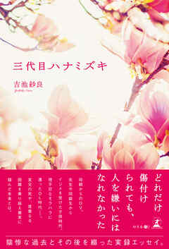 三代目ハナミズキ