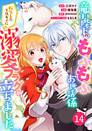 Berry’sFantasy竜王陛下のもふもふお世話係～転生した平凡女子に溺愛フラグが立ちました～14巻