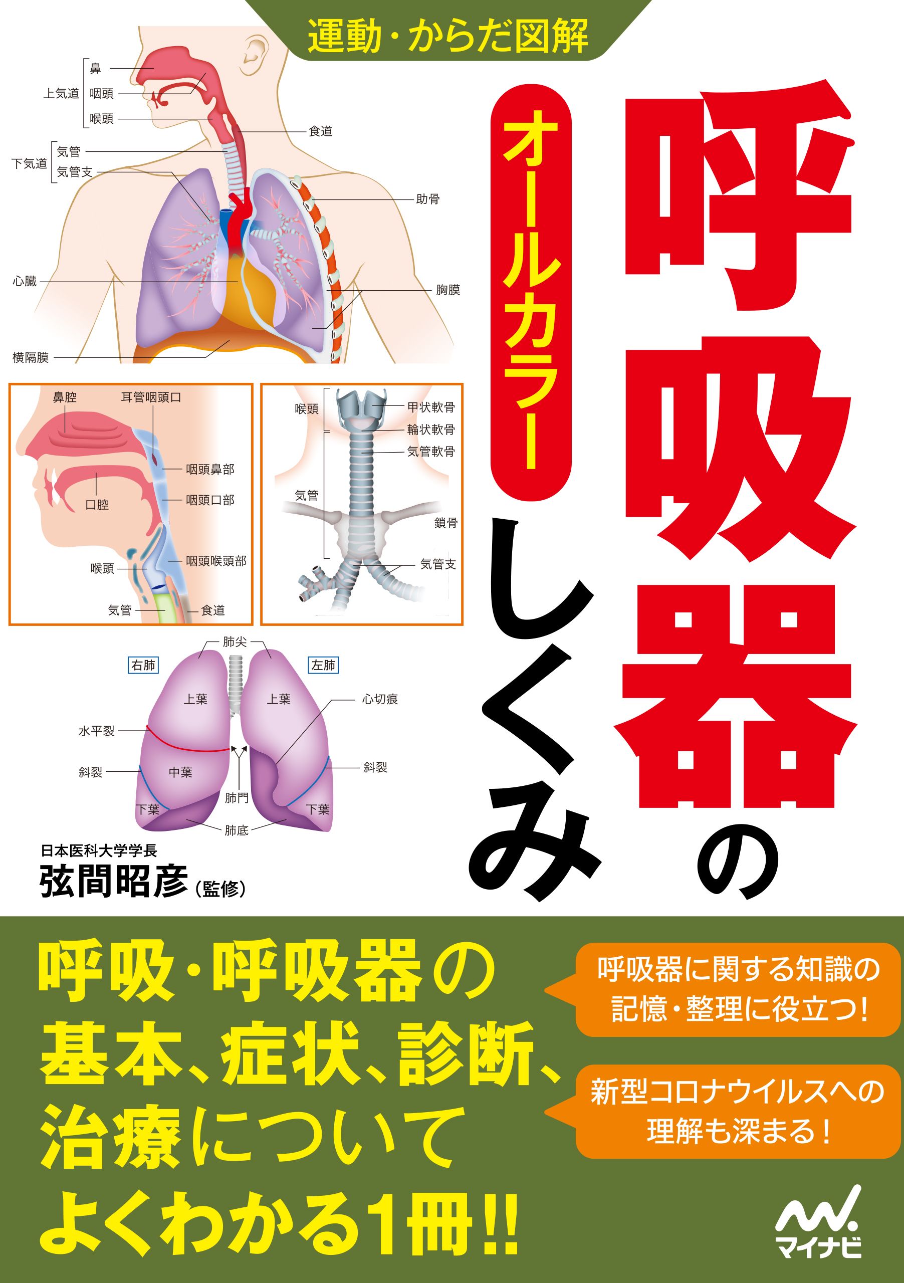 呼吸器疾患ビジュアルブック - 健康・医学